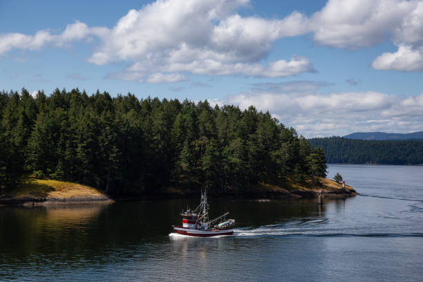 istock View of Beautiful Gulf Islands during a sunny day. 1264206819