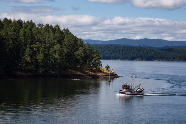 istock View of Beautiful Gulf Islands during a sunny day. 1264206831