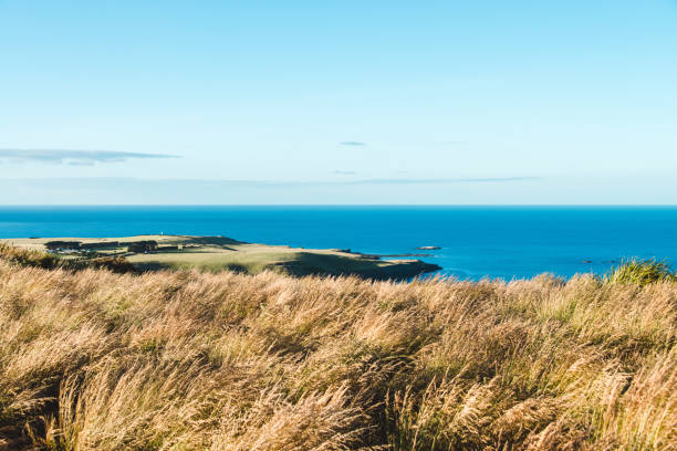 View overlooking the landscape and blue ocean seen near the city of Stanley on the northwest tip of Tasmania, Australia.