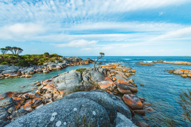 Bay of Fires, Tasmania, Australia