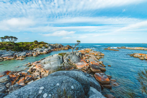 Bay of Fires, Tasmania, Australia Red rock coastline seen at Bay of Fires on the east coast of Tasmania, Australia. bay of fires photos stock pictures, royalty-free photos & images