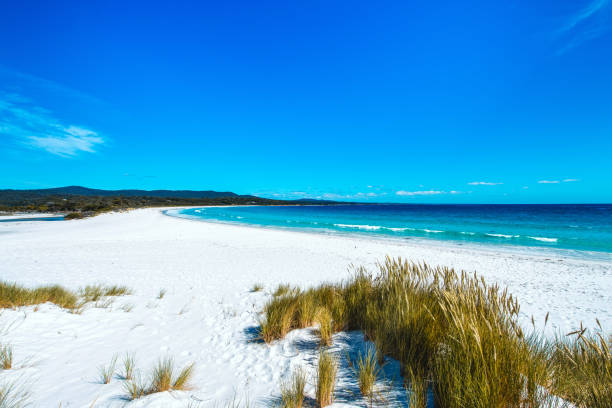 istock White sand paradise beach in Tasmania, Australia 1264214270