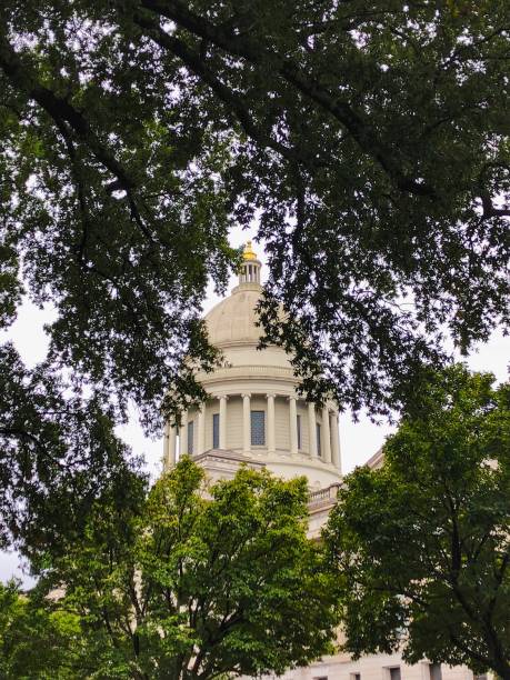 istock Dome of the Arkansas State Capital 1264217359