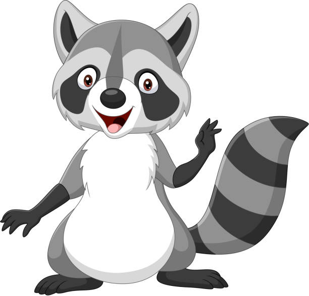 Cartoon Happy Raccoon Isolated On White Background Stock Illustration -  Download Image Now - Raccoon, Cartoon, Humor - iStock