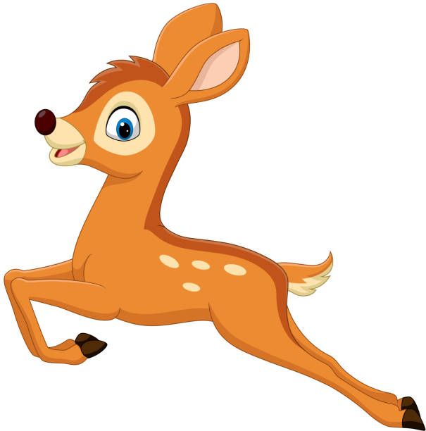 Deer Cartoon Stock Photos, Pictures & Royalty-Free Images - iStock