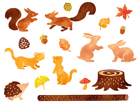 Watercolor style illustration set of small animals in the forest and autumn leaves
(Squirrel, Rabbit, Hedgehog, Weasel)