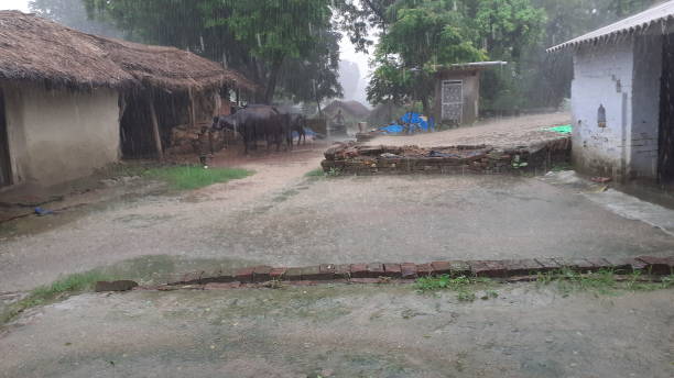 istock Rain in the village 1264223307