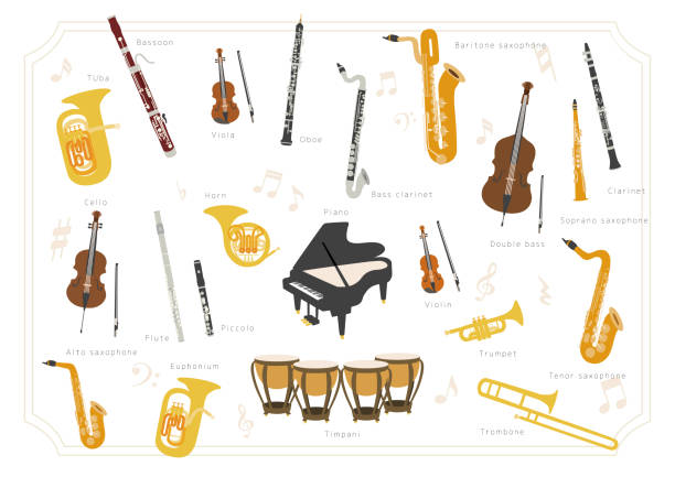 zestaw wektorowych nowoczesnych płaskich instrumentów muzycznych. grupa instrumentów orkiestrowych. - brass instrument illustrations stock illustrations