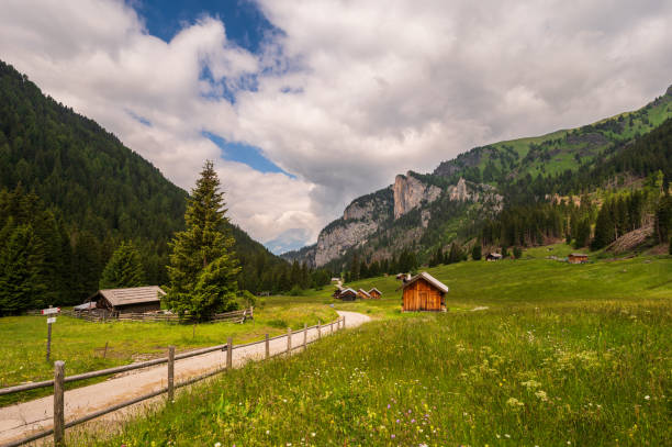 istock alpine landscape, Dolomites, Italy 1264224410
