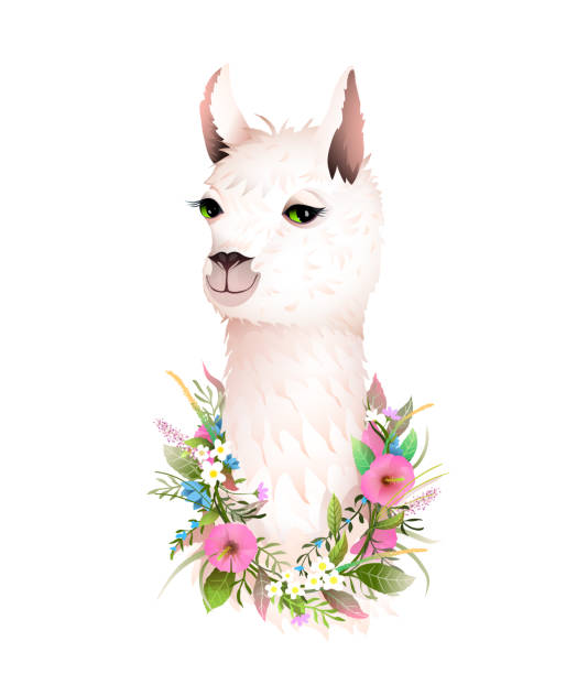 istock Lama Cute Romantic Flowers Animal T Shirt Print 1264225076