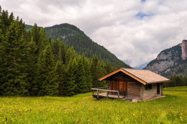 istock alpine landscape, Dolomites, Italy 1264225260
