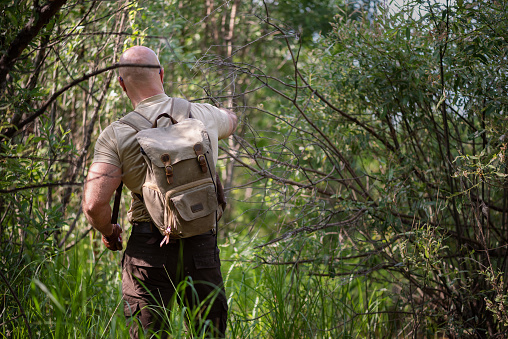 A traveler man with a backpack is walking through the forest.