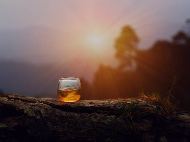 ウイスキーの性質、ウイスキーの岩の上 - scotch on the rock ストックフォトと画像