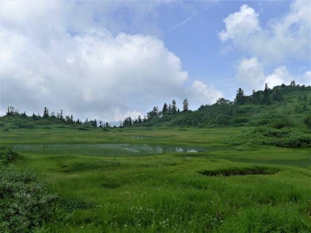 istock Mount Hiuchi in Niigata, Japan (Hundred Mountains) 1264237027