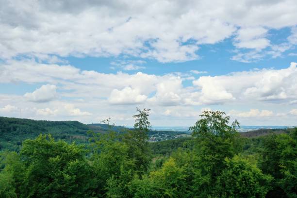 istock View over the forest with a slightly cloudy sky. 1264242141