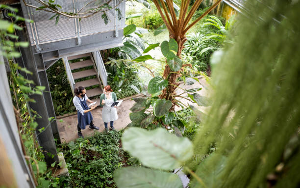 istock Two People working at the botanical garden 1264242643