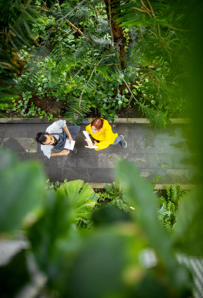 istock Two People working at the botanical garden 1264245392