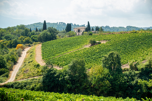 August 10, 2017 - San Quirico d'Orcia, Italy: view of vineyards and a house in Tuscany