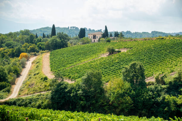 Tuscany landscape August 10, 2017 - San Quirico d'Orcia, Italy: view of vineyards and a house in Tuscany agritourism stock pictures, royalty-free photos & images