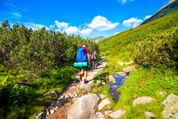 istock Father and son are walking in the mountains 1264249191