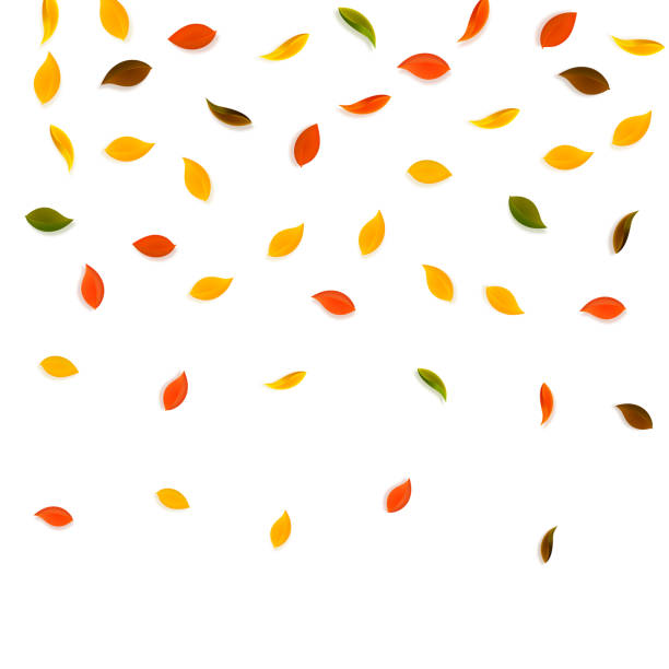 istock Falling autumn leaves. Red, yellow, green, brown r 1264251566