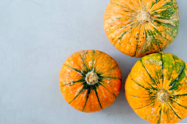 istock Top view of three ripe variegated pumpkins on a gray surface. 1264254038