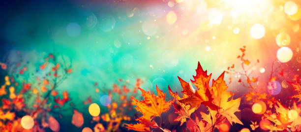 automne abstrait avec des feuilles rouges sur le fond brouillé - turquoise bleu photos photos et images de collection