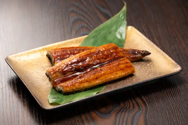 Unagi Kabayaki. Grilled eel on a plate.
