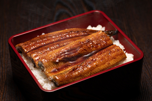 Una-juu. Arroz de anguila a la parrilla en vajilla de caja cuadrada japonesa photo