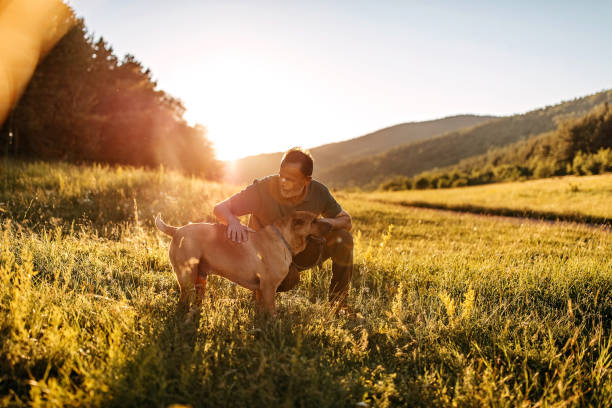 istock Senior man walking his dog 1264265884