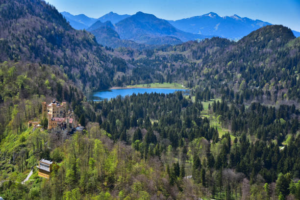 istock a View of Lake Alpsee 1264265964