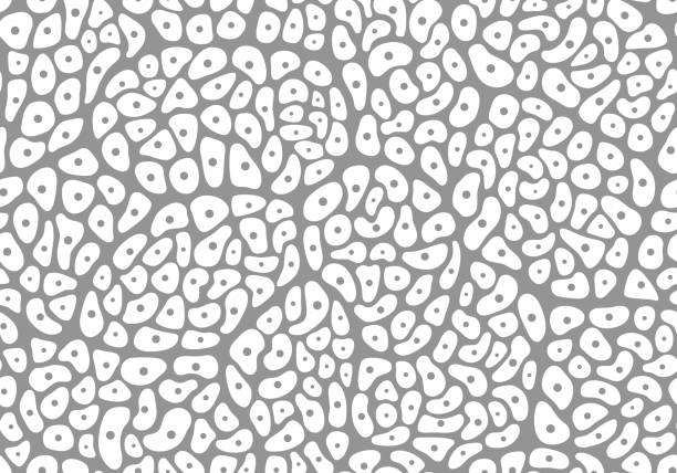 Pattern Inside Cell 2,000+ Stained Cells Stock Illustrations, Royalty-Free Vector Graphics ...