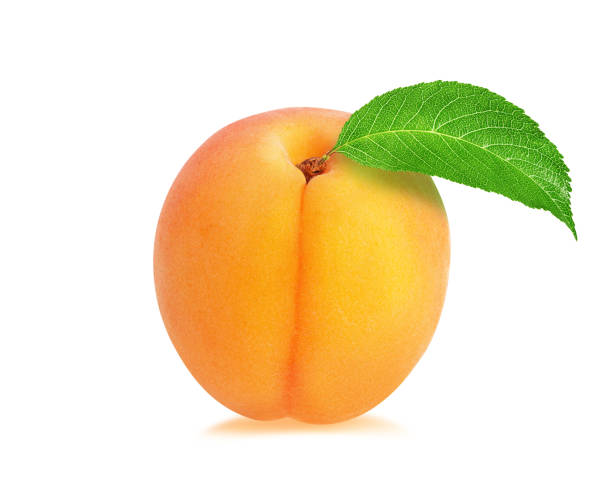 istock Apricot with leaves isolated on white background with clipping path 1264268672