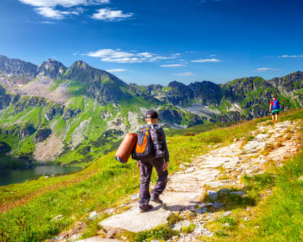 istock Teenage boy in the mountains 1264270725