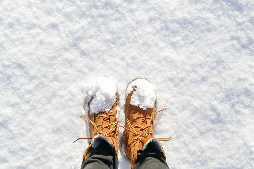 Standing in the fresh snow. Winter season.