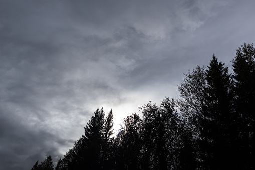 Dramatic northern scandinavian cloudy sky. Cold northern Europe. Nature dark forest silhouette and sun from clouds