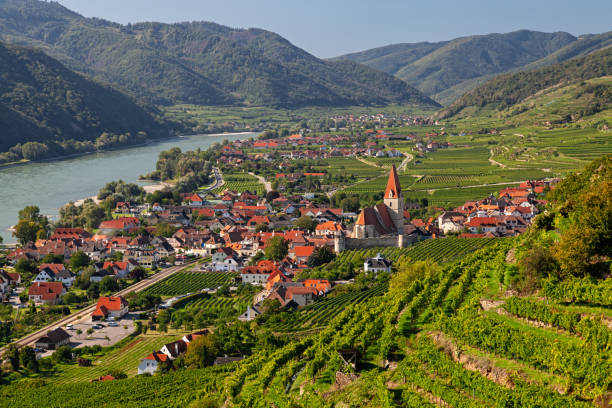 het panorama van de lucht van weisenkirchen in de stad der wachau en wijngaarden bij de herfst. wachau vallei, oostenrijk - landschap dorp stockfoto's en -beelden