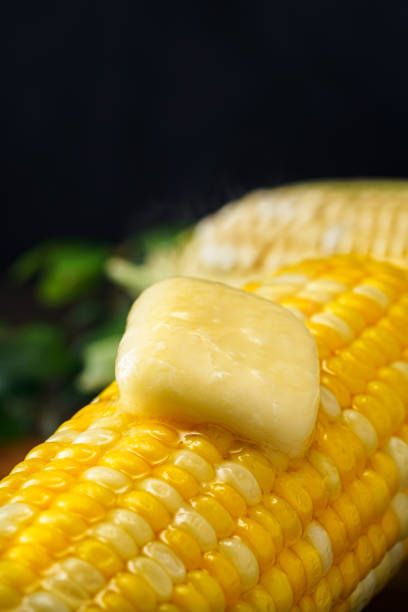istock Grains of ripe corn on dark background 1264284227