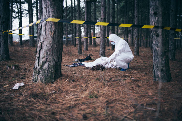 2,700+ Dead Body Forest Stock Photos, Pictures & Royalty-Free Images - iStock