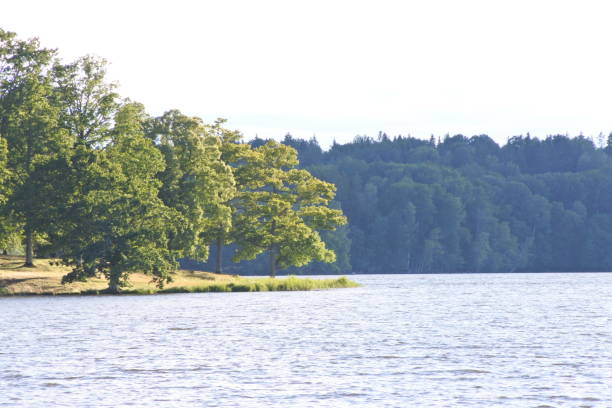 Picture taken at a lake named \