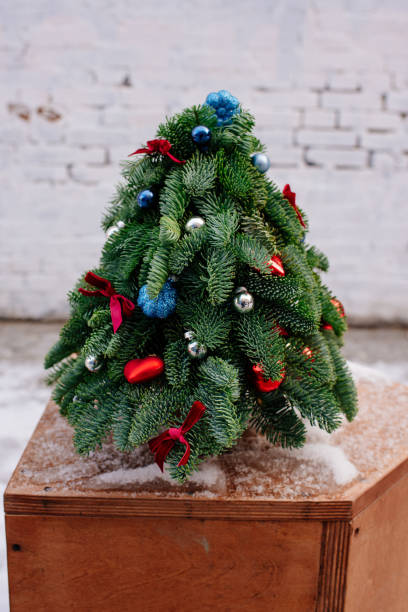 istock Christmas tree arrangement made of fir branches 1264288253