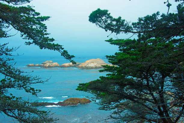 Ocean View-Big Sur-Carmel California