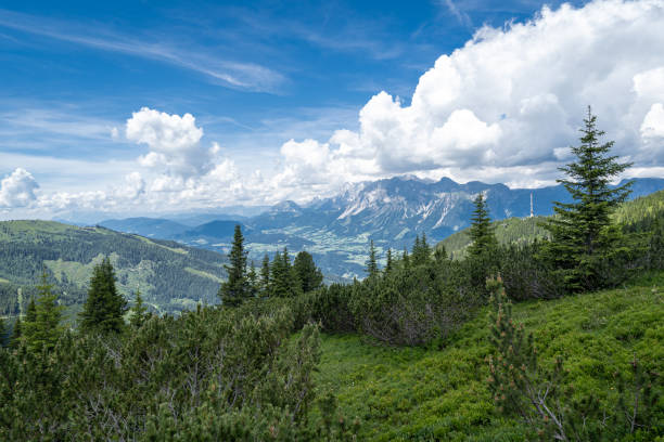 istock Hiking trail in the mountains 1264289960