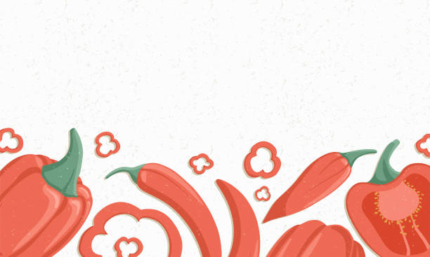 ilustrações de stock, clip art, desenhos animados e ícones de autumn bell peppers border vector cartoon illustration. chili peppers horizontal banner. - mexico chili pepper bell pepper pepper