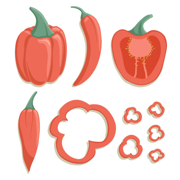 kolekcja papryki wektorowej w stylu kreskówki. jasne warzywa papryki chili wyizolowane na białym tle. - mexico chili pepper bell pepper pepper stock illustrations