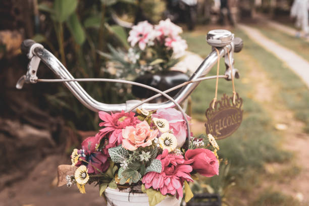 Old style bicycle with beautiful flower in basket.