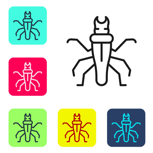 schwarze linie termite symbol isoliert auf weißem hintergrund. legen sie symbole in farbigen quadratischen schaltflächen fest. vektor - ant underground animal nest insect stock-grafiken, -clipart, -cartoons und -symbole