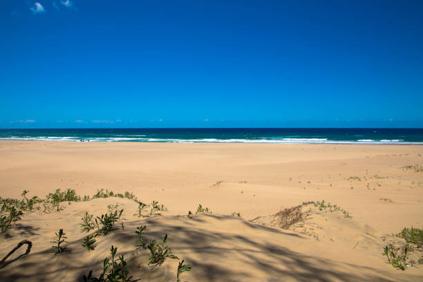 istock Beach scene and empty place concept during lockdown in some countries because of coronavirus or covid 19 1264299074