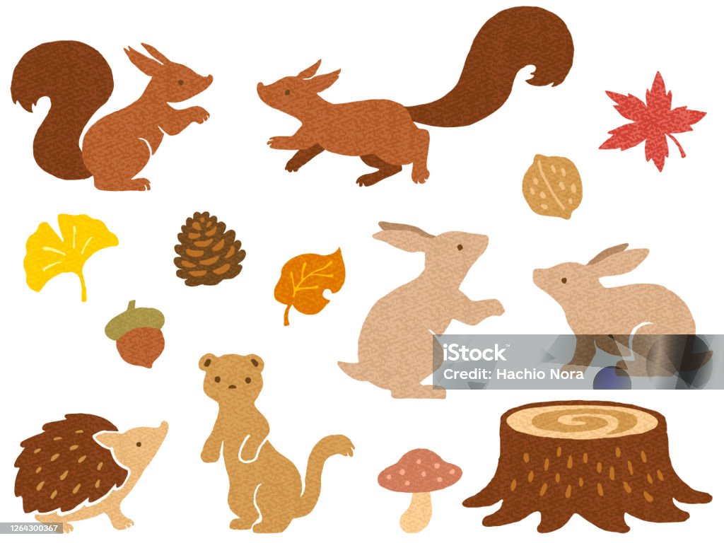 Illustration Set Of Various Autumn Leaves And Small Animals In The Forest  Stock Illustration - Download Image Now - iStock