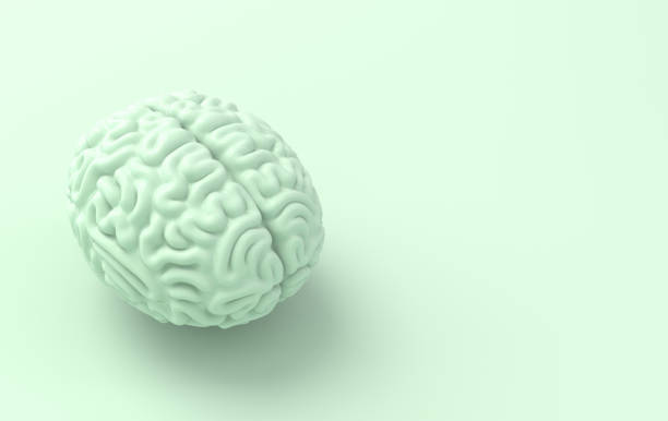 istock 3d brain rendering illustration template background. The concept of intelligence, brainstorm, creative idea, human mind, artificial intelligence. 1264300460